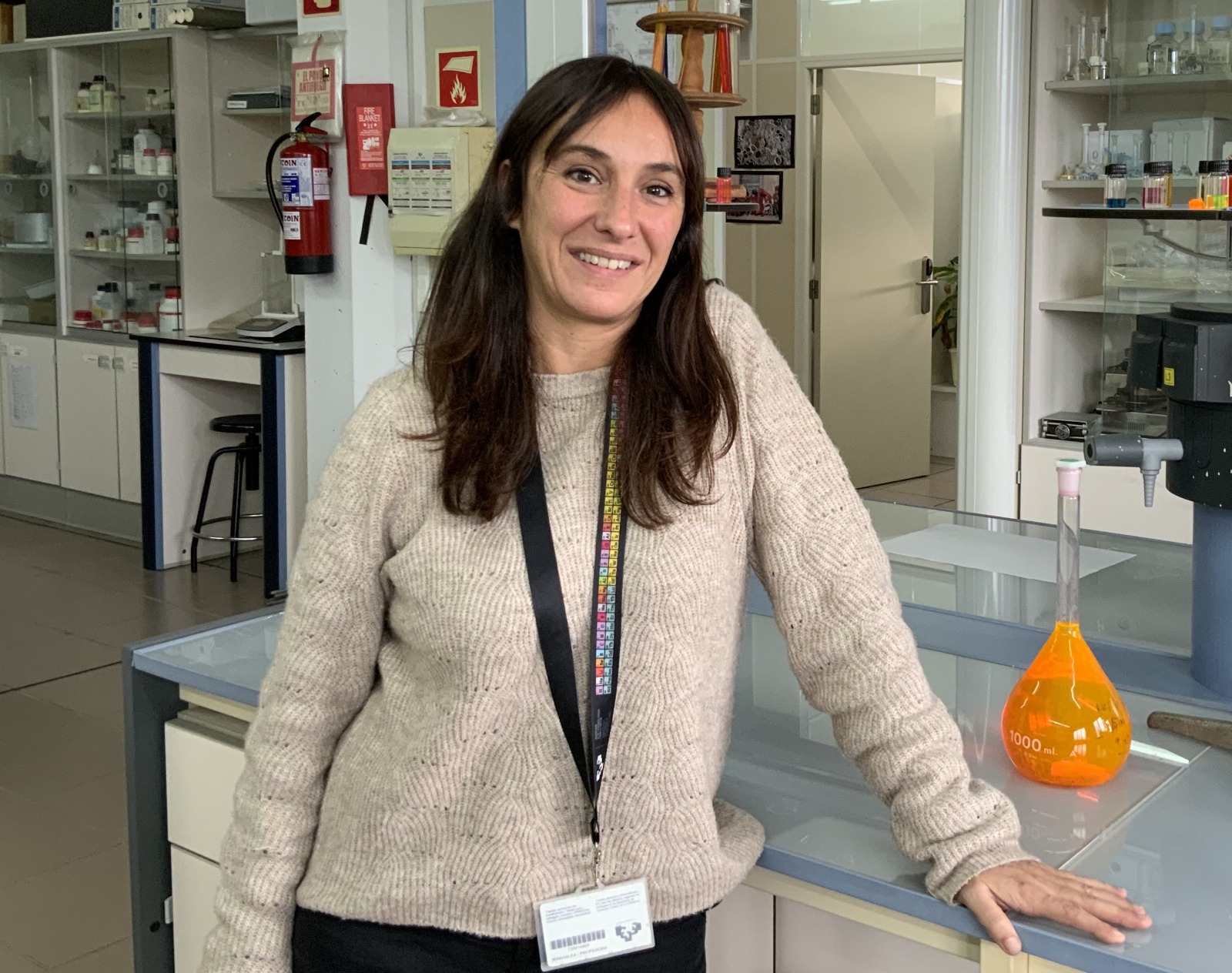 Virginia Martínez-Martínez (Senior Researcher at Department of Physical Chemistry at University of the Basque Country, UPV-EHU)
