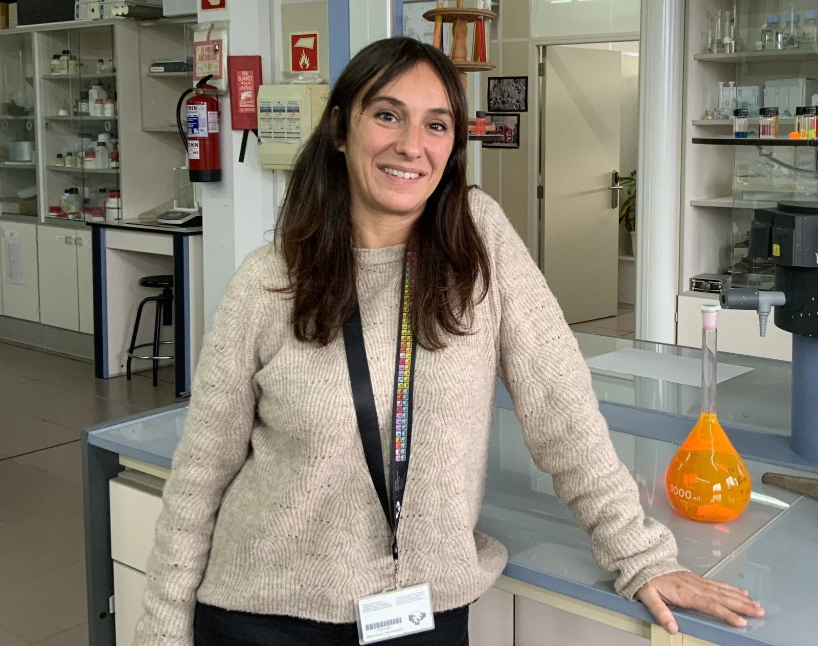 Virginia Martínez-Martínez Virginia Martínez-Martínez (Senior Researcher at Department of Physical Chemistry at University of the Basque Country, UPV-EHU)